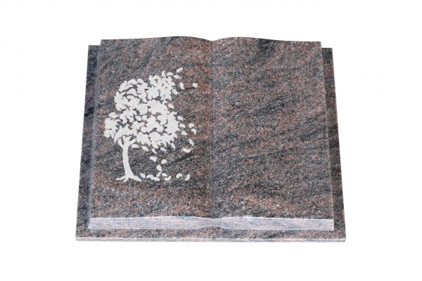 Grabbuch, Himalaya Granit, 40cm x 30cm x 8cm, inkl. Baum