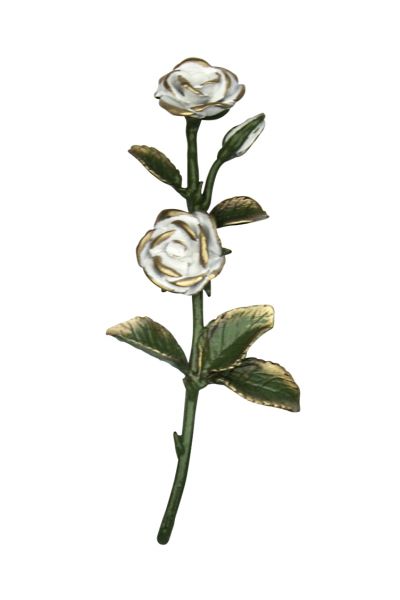 Bronzerose 15,5cm, Blüten weiß/gold