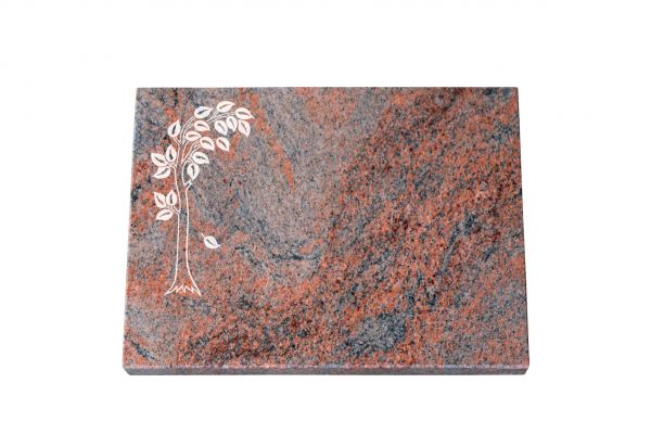Liegeplatte, Multicolor Granit rechteckig 40cm x 30cm x 3cm, inkl. schmalen Baum