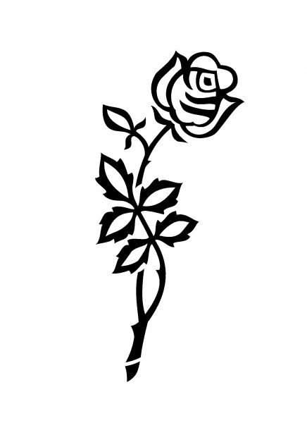 vertieft gestrahltes Ornament, blühende Rose